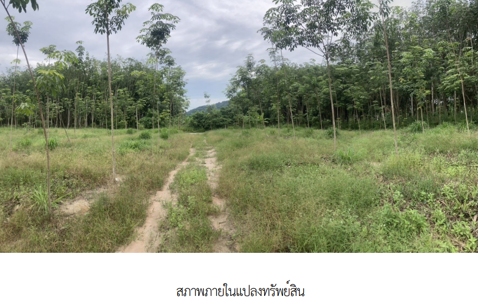 picture PROPERTY 3345.9 Sq.w. Ban Khai Rayong for 11.1M - 6/11