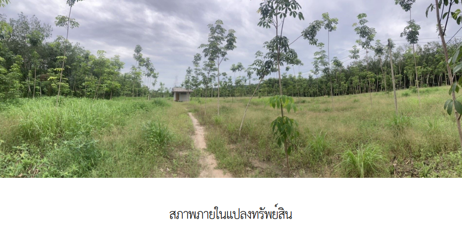 picture PROPERTY 3345.9 Sq.w. Ban Khai Rayong for 11.1M - 4/11