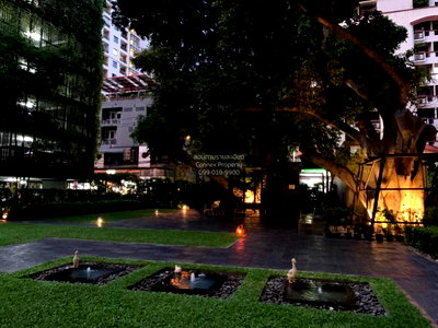 Condos for rent Sathorn Thani Tower : 🔥🔥🔥 FOR RENT condo , The Seed Mingle , MRT-Lumphini , Thungmahamek , Sa Thon , Bangkok , CX-25776 ✅ Live chat with us ADD LINE @connexproperty ✅ 🔥🔥🔥