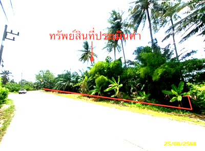 ที่ดิน สุราษฎร์ธานี : ที่ดินว่างเปล่า สำหรับขาย - ไชยคราม ดอนสัก สุราษฎร์ธานี