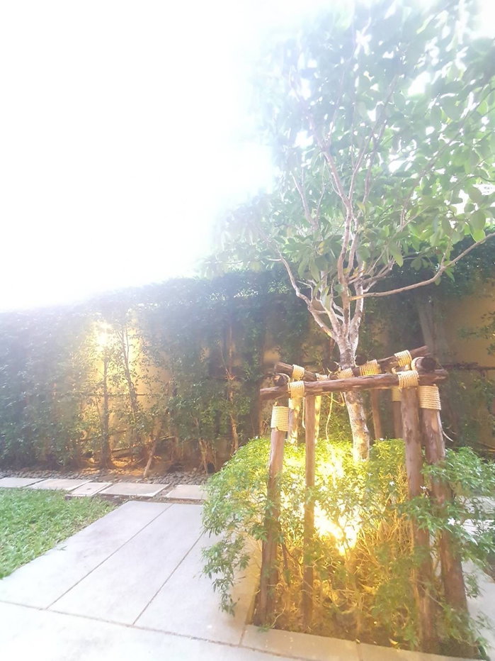 รูป ให้เช่า Noble Ambience Sukhumvit 42 ห้องสวย ราคาดี ตกแต่งเฟอร์ครบ DS2617 | Line @dstay - รูปที่ 19/20