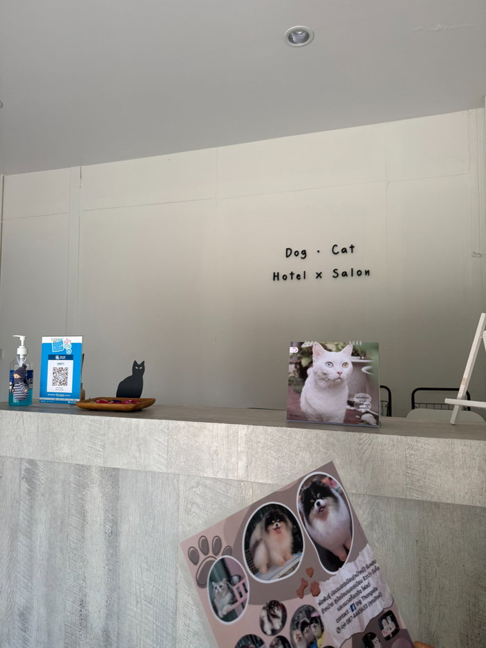 รูป โรงแรมรับฝาก-อาบน้ำตัดขน สุนัขและแมว ทำเลทอง  - รูปที่ 19/19