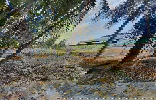 รูป ขายโรงงานทำเลทอง 2ไร่เศษ บางใหญ่ ใกล้กาญจนา – น้ำไม่ท่วม - รูปที่ 5/9