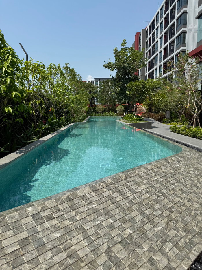 รูป 🔥🔥🔥ให้เช่า ดีคอนโด vivid ตรงข้ามหาลัยกรุงเทพ สตูดิโอ ตึกเอ ชั้น 6  ขนาด 25.5 ตร.ม 12,000 เฟอร์ครบ - รูปที่ 14/17