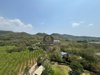 listing thumbnail image 12