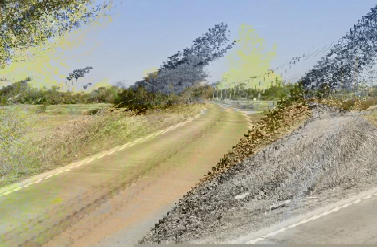 รูป ขายที่ดิน ผังเหลือง 31-2-16 ไร่ ต.หนองขยาด อ.พนัสนิคม จ.ชลบุรี - รูปที่ 4/7