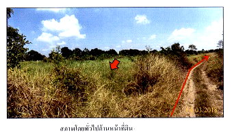 ที่ดินเปล่า 2916 ตร.วา อำเภอหนองเสือ ปทุมธานี