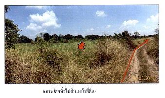 ที่ดินเปล่า เนื้อที่ทั้งหมด 11664 ตารางเมตร ตำบลบึงบา อำเภอหนองเสือ ปทุมธานี ราคา NaN บาท