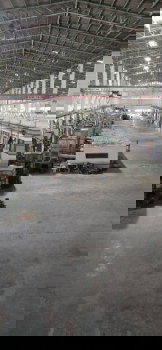 รูป ขายด่วน โรงงาน ผังม่วง 120-0-1ไร่ ถนนบางนาตราด บางโฉลง บางพลี สมุทรปราการ - รูปที่ 3/12