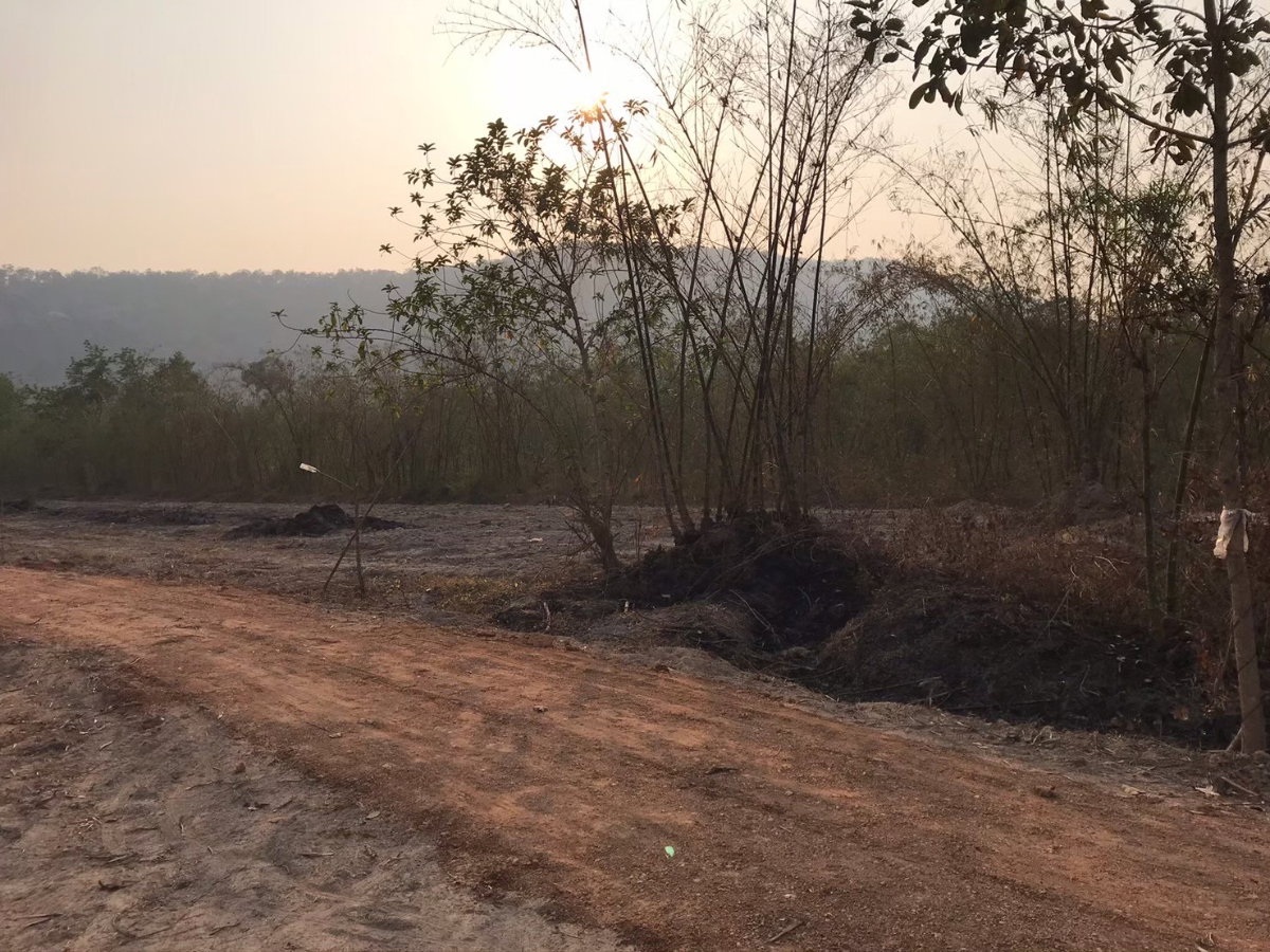 รูป ขายที่ดิน ต.เนินหอม 7 ไร่ วิวเขาล้อมรอบ ใกล้เขาใหญ่ ดาษดา - รูปที่ 3/11