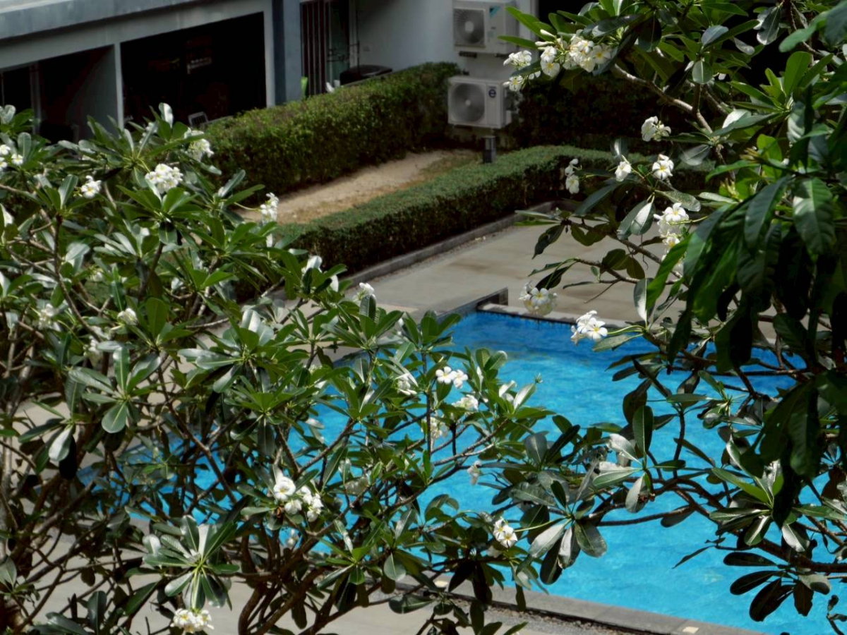 รูป The View Suanluang For Sell WR-04357 - รูปที่ 10/13