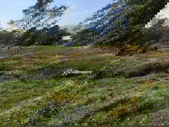 รูป ขายที่ดิน อ.ปาย จ.แม่ฮ่องสอน เนื้อที่ 4-3-91 ไร่ - รูปที่ 2/3