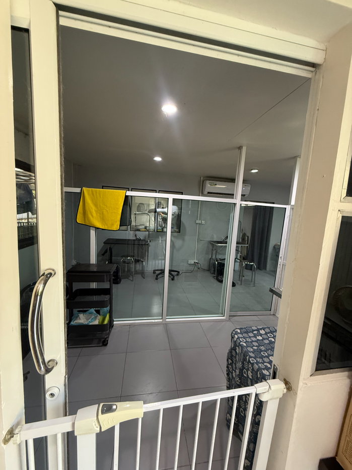รูป โรงแรมรับฝาก-อาบน้ำตัดขน สุนัขและแมว ทำเลทอง  - รูปที่ 5/19