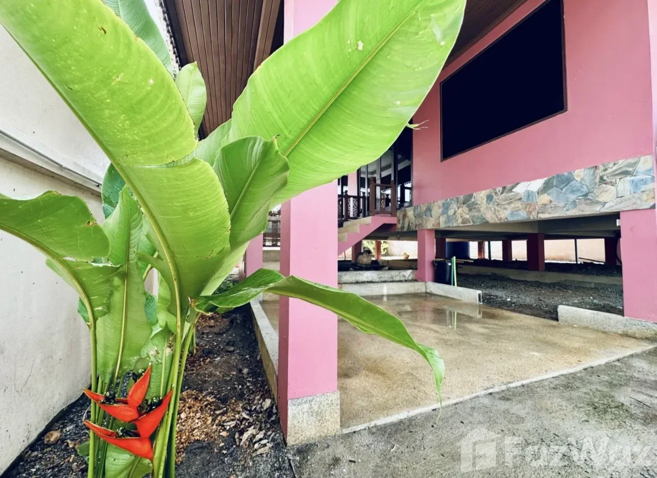 รูป บ้านเดี่ยวให้เช่า 3 ห้องนอน ใน บ่อผุด, สุราษฎร์ธานี 6114750 - รูปที่ 26/30