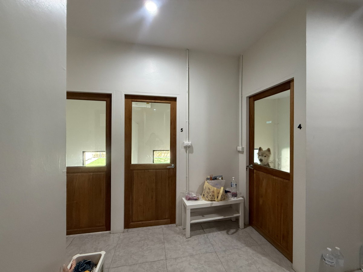 รูป โรงแรมรับฝาก-อาบน้ำตัดขน สุนัขและแมว ทำเลทอง  - รูปที่ 4/19