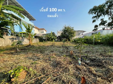 picture A 400 sq.m. vacant land plot, already filled, located in Soi Sangkhom Songkhro 16, intersection 4. Suitable for building a house, office, or business - 4/5