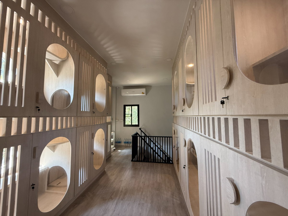 รูป โรงแรมรับฝาก-อาบน้ำตัดขน สุนัขและแมว ทำเลทอง  - รูปที่ 12/19