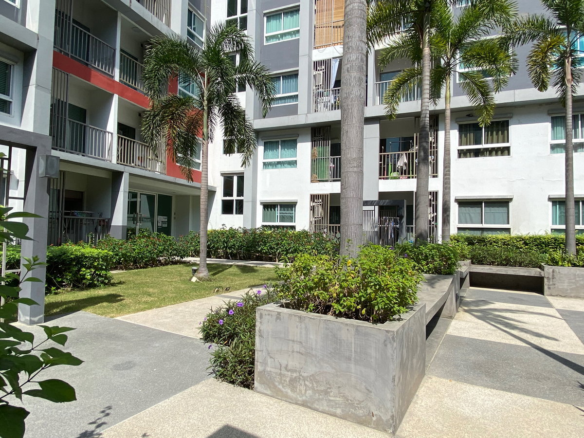 รูป ให้เช่า โครงการ The trust condo นครปฐม ใจกลางเมืองนครปฐม ใกล้ม.ศิลปากร รพ.สนามจันทร์ สินแพทย์ เซ็นทรัลนครปฐม Tel 080-2464446 - รูปที่ 15/16