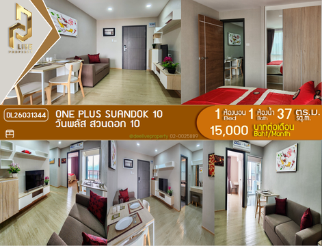 DL26031344 ให้เช่าคอนโด วันพลัส สวนดอก 10 (One Plus Suandok 10) ใกล้ - พร้อมเข้าอยู่ โทรด่วน 0653619502 LineID @897iyzll
