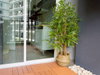 listing thumbnail image 10