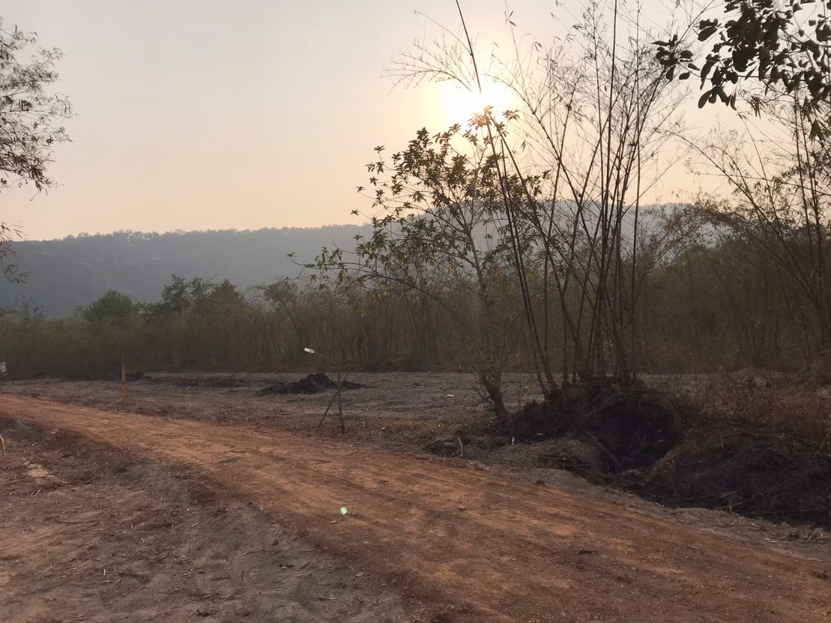 รูป ขายที่ดิน ต.เนินหอม 7 ไร่ วิวเขาล้อมรอบ ใกล้เขาใหญ่ ดาษดา - รูปที่ 11/11