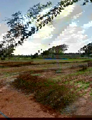 ที่ดิน วารินชำราบ อุบลราชธานี : ขายที่ดินเปล่า ใกล้พุทธสถานราชธานีอโศก จ.อุบลราชธานี