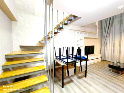 คอนโดให้เช่า : ให้เช่าด่วน Zoom Condo 49 ราคา 13,000 บาท ห้องนอน 1 Duplex ขนาด 50 ตร.ม. ชั้น 5 วิวโครงการด้านหน้า 