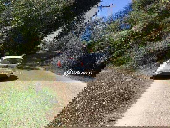 รูป ขายที่ดิน อ.ปาย จ.แม่ฮ่องสอน เนื้อที่ 4-3-91 ไร่ - รูปที่ 3/3