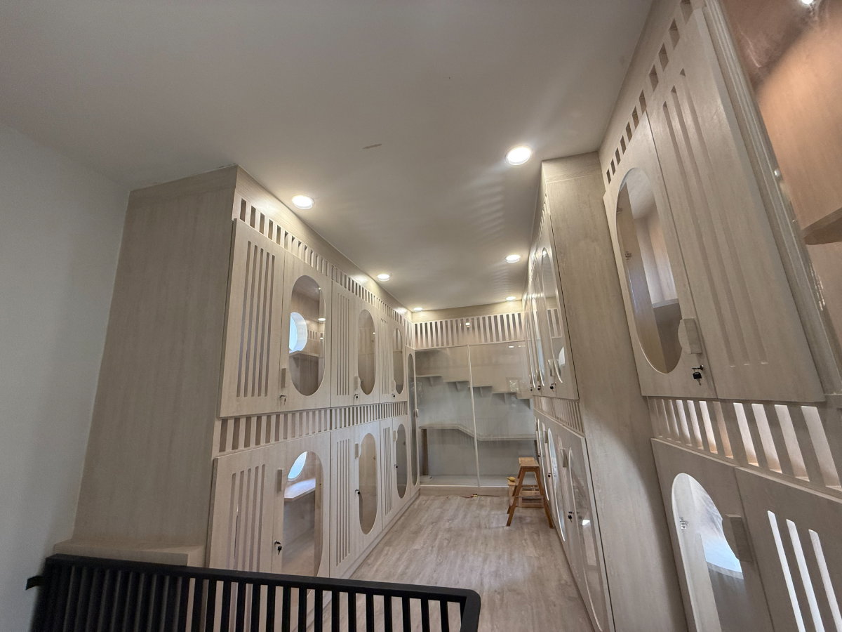 รูป โรงแรมรับฝาก-อาบน้ำตัดขน สุนัขและแมว ทำเลทอง  - รูปที่ 13/19