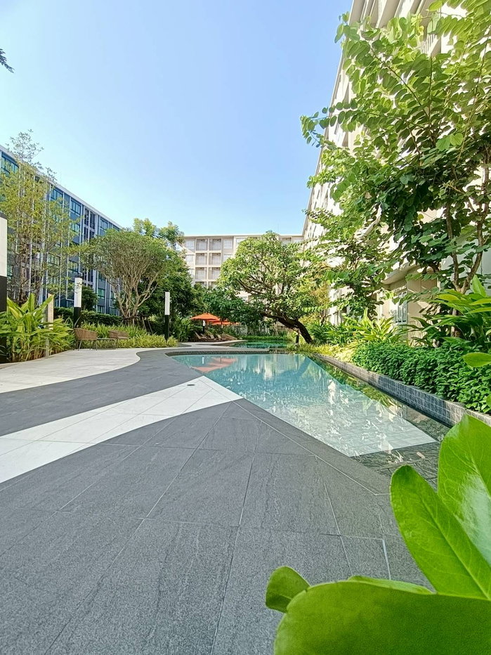picture ✨DCONDO SAND FOR RENT. READY TO MOVE IN ✨ - 13/13