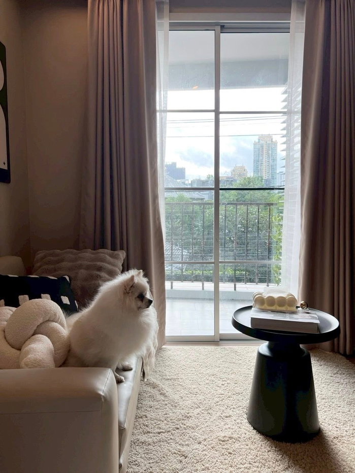รูป WS3886 ให้เช่า Maestro 39 (Pet friendly) ใกล้ BTS พร้อมพงษ์ เลี้ยงสัตว์ได้จริง เพียง 27,000 บาท/เดือน - รูปที่ 10/14