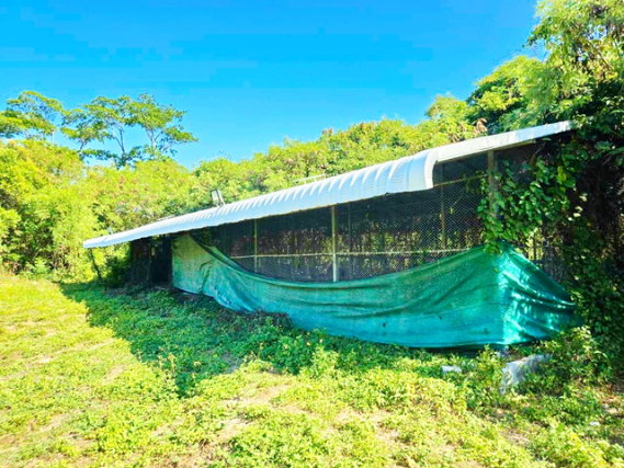 รูป มอเตอร์เวย์ สนามบินอู่ตะเภา 3.5 กม. ใกล้รร.สัตหีบ 1.3กม. ตลาดพลูตาหลวง 2.2 กม.มอเตอร์เวย์ 14ไร่ 41 ตร.วา. 1500 ตร.ม. - รูปที่ 8/8