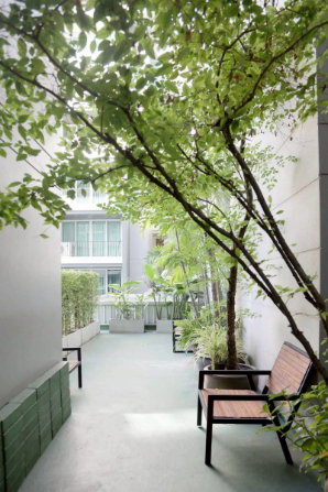 รูป คอนโดให้เช่า :DLV Thonglor 20 (ดี แอล วี ทองหล่อ 20) ((BTS Thonglor ทองหล่อ )) MK-02 line @livingbkk - รูปที่ 13/13