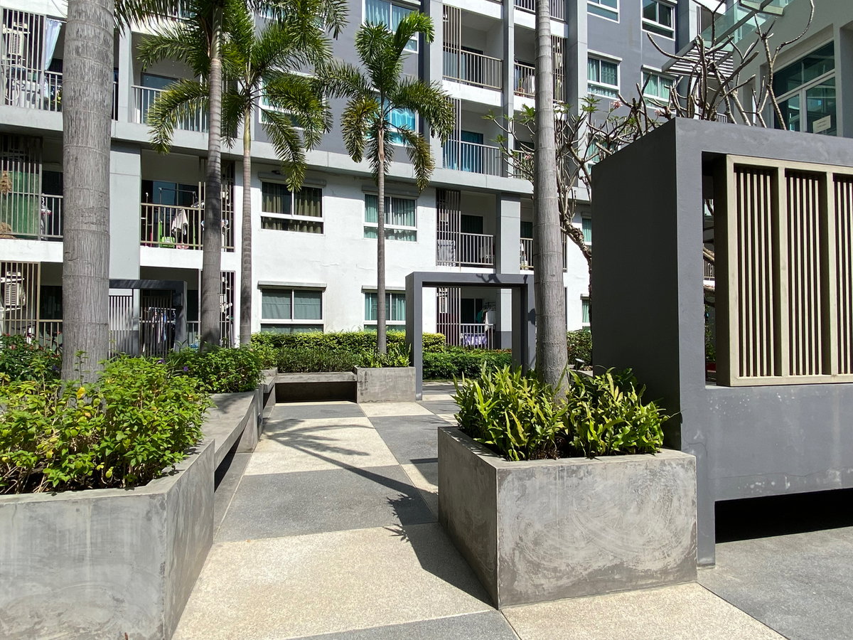 รูป ให้เช่า โครงการ The trust condo นครปฐม ใจกลางเมืองนครปฐม ใกล้ม.ศิลปากร รพ.สนามจันทร์ สินแพทย์ เซ็นทรัลนครปฐม Tel 080-2464446 - รูปที่ 13/16