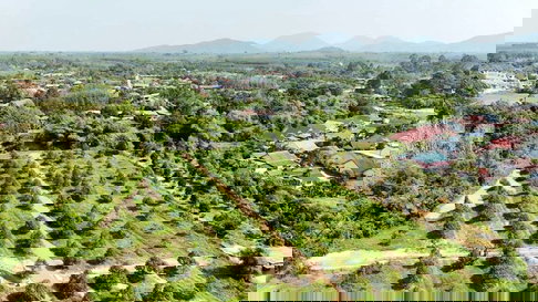 ราคาดี วิวสวย ขายสวนทุเรียนขนาด 233 ตรว. ราคา 9.9 แสน ต.บ้านแลง อ.เมือง ระยอง