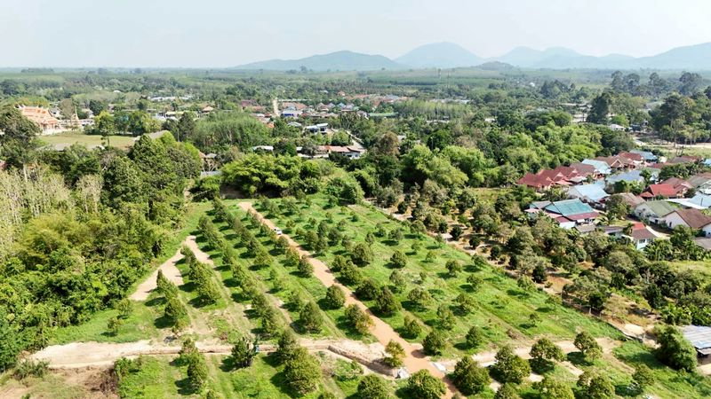 รูป ราคาดี วิวสวย ขายสวนทุเรียนขนาด 233 ตรว. ราคา 9.9 แสน ต.บ้านแลง อ.เมือง ระยอง - รูปที่ 1/17