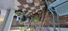 listing thumbnail image 13