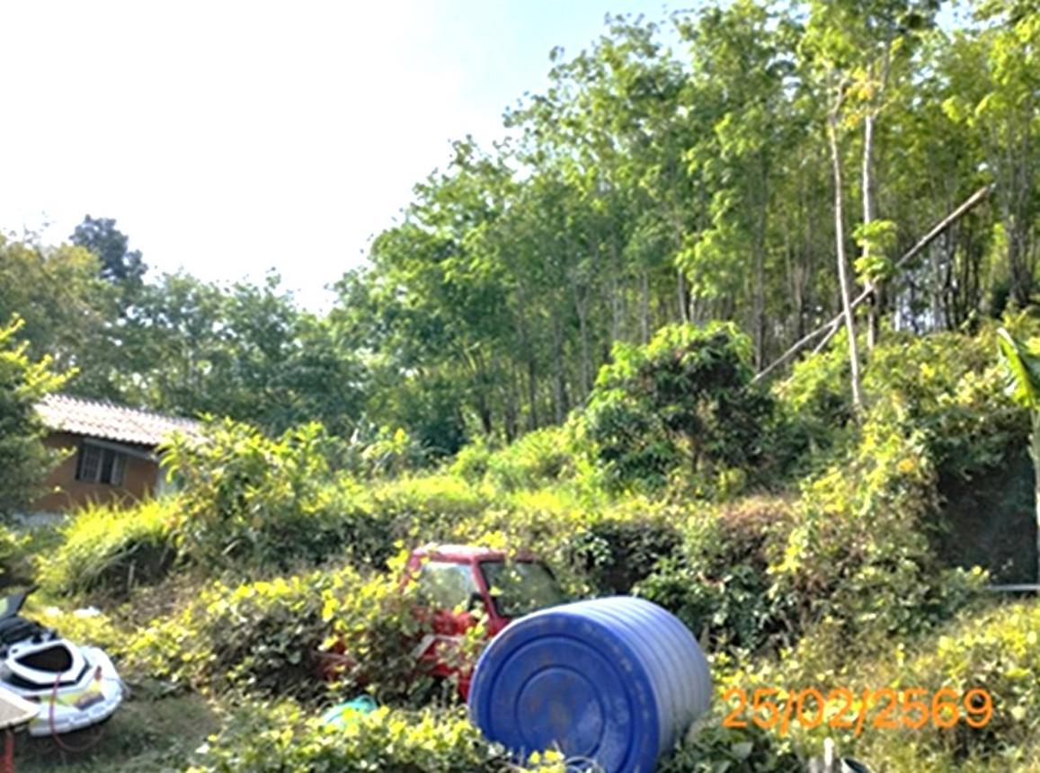 รูป บ้านเดี่ยว สำหรับขาย - ป่าคลอก ถลาง ภูเก็ต - รูปที่ 7/14