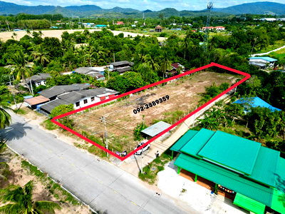 ที่ดิน ศรีราชา ชลบุรี : ขายที่ดินราคาถูก ติดถนน ศรีราชา-หนองค้อ 41/3 ใกล้สวนเสือศรีราชา 