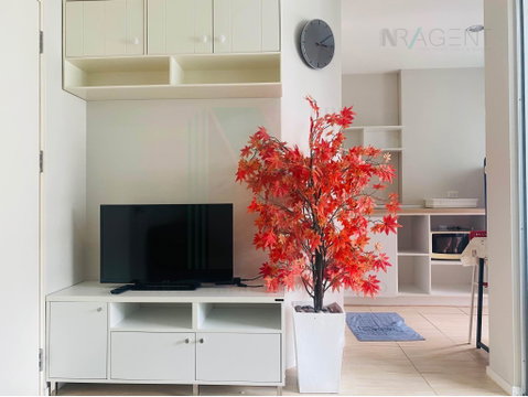 🚩 ให้เช่าคอนโด ลุมพินี วิลล์ อ่อนนุช 46 อาคาร C1 ชั้น 7 1 ห้องนอน ขนาด 26.00 ตรม ใกล้ Seacon Square