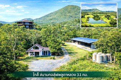 เช่าที่ดิน สัตหีบ ชลบุรี : มอเตอร์เวย์ สนามบินอู่ตะเภา 3.5 กม. ใกล้รร.สัตหีบ 1.3กม. ตลาดพลูตาหลวง 2.2 กม.มอเตอร์เวย์ 14ไร่ 41 ตร.วา. 1500 ตร.ม.