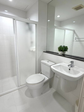 B-007 🚩60 ตรม. 2 ห้องนอน เช่า 22,500 🌵 🌈 The Tree บางโพ 🌵 🌈 