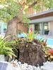 listing thumbnail image 28