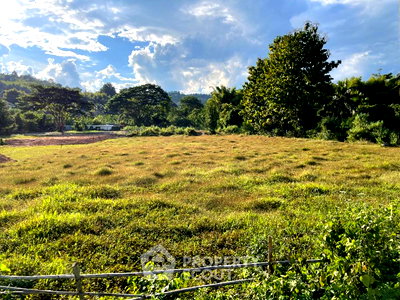 ที่ดิน ม.ราชภัฏเชียงใหม่ ศูนย์แม่ริม : ที่ดินสำหรับปล่อยขาย 3,080 ตารางเมตร แถว ใน ห้วยทราย (ID 1495369)