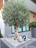 listing thumbnail image 31