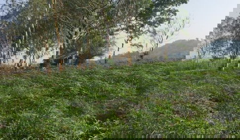 ขายที่ดินเปล่า  วิวสวย อยู่บนเนินเขา  จ.เชียงราย