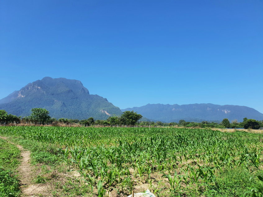 picture Land in Chiang Mai with Beautiful Mountain View - 2/10