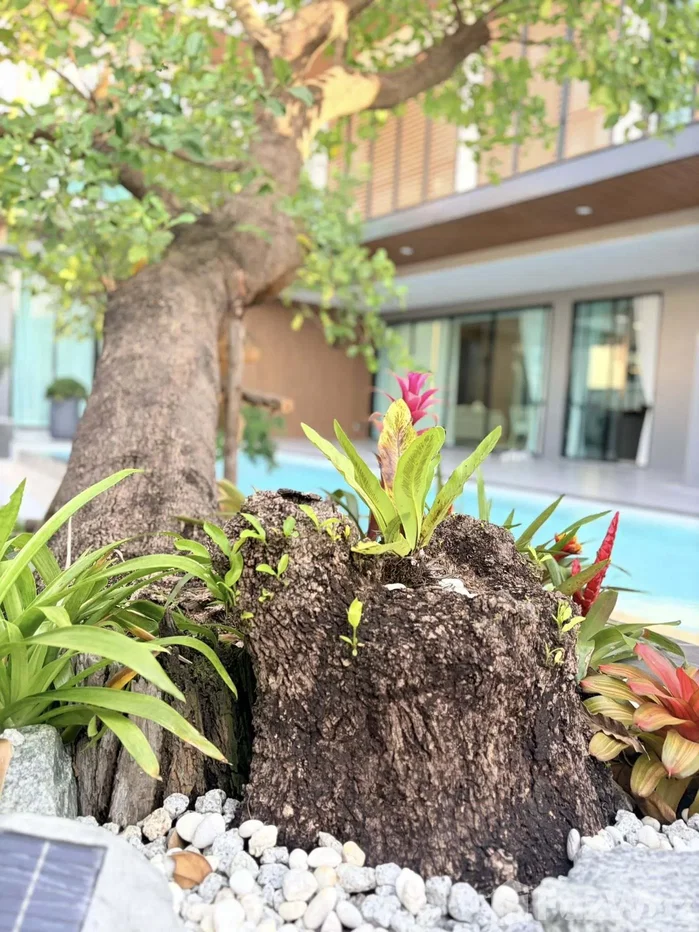 รูป ขาย วิลล่า 7 ห้องนอน ในโครงการ เรสต้า วิลล่า มาบประชัน พัทยา 6119605 - รูปที่ 30/35