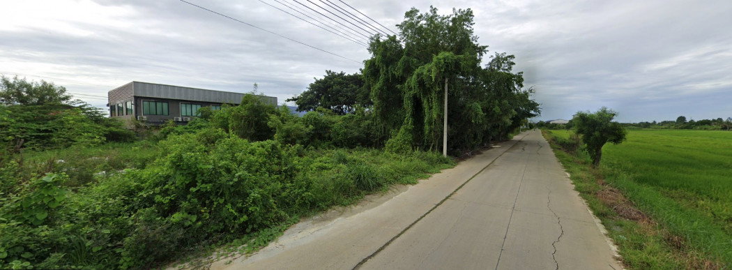 รูป ขาย ที่ดิน ทำเลทอง 1-3-3.6 ไร่ หน้าไม้ ลาดหลุมแก้ว ปทุมธานี - รูปที่ 3/5