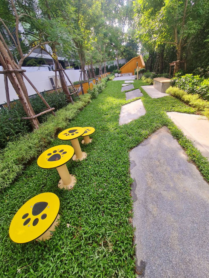 รูป ขายคอนโดใหม่ เลี้ยงสัตว์ได้ ใกล้ MRT บางแค รีบด่วยใกล้หมดแล้ว - รูปที่ 17/24